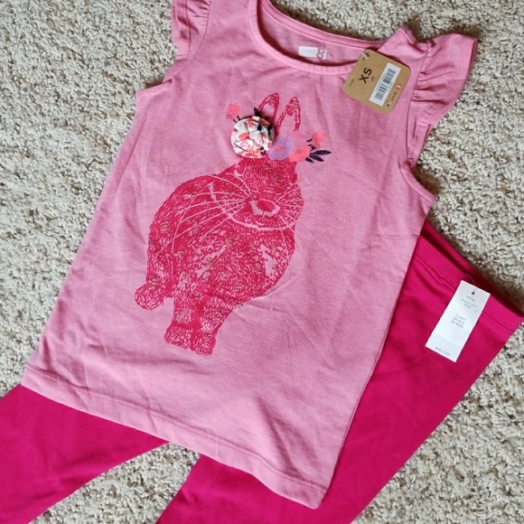 Baby Gap & Crazy 8 Other - Baby Gap & Crazy 8 Bunny Outfit NWT